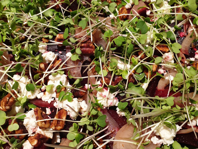 Close-up of a salad with microgreens, goat cheese, and pecans.